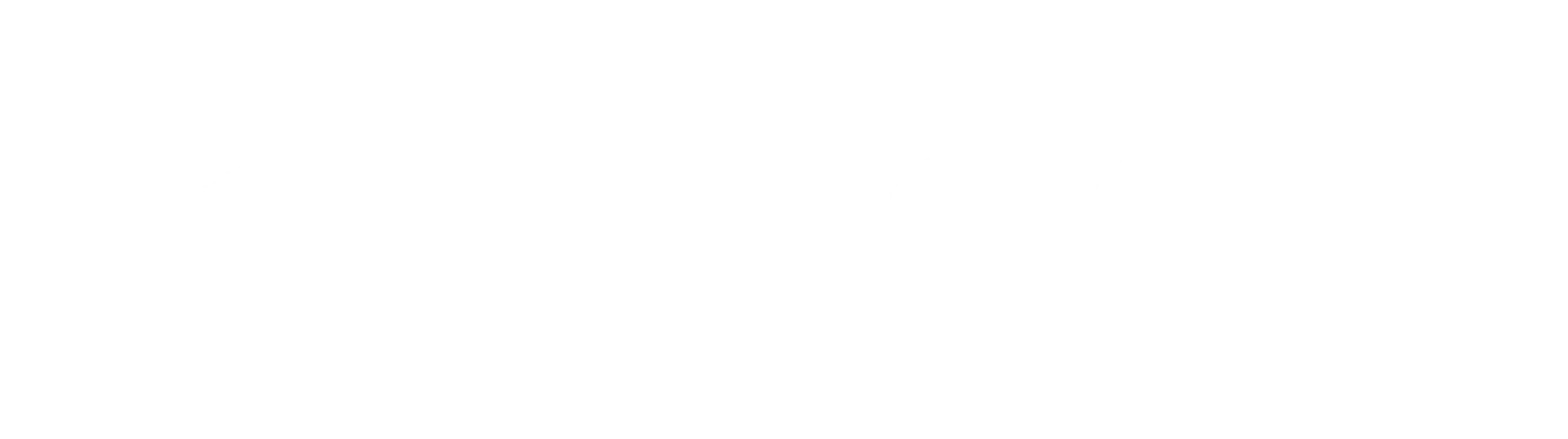 Intecon